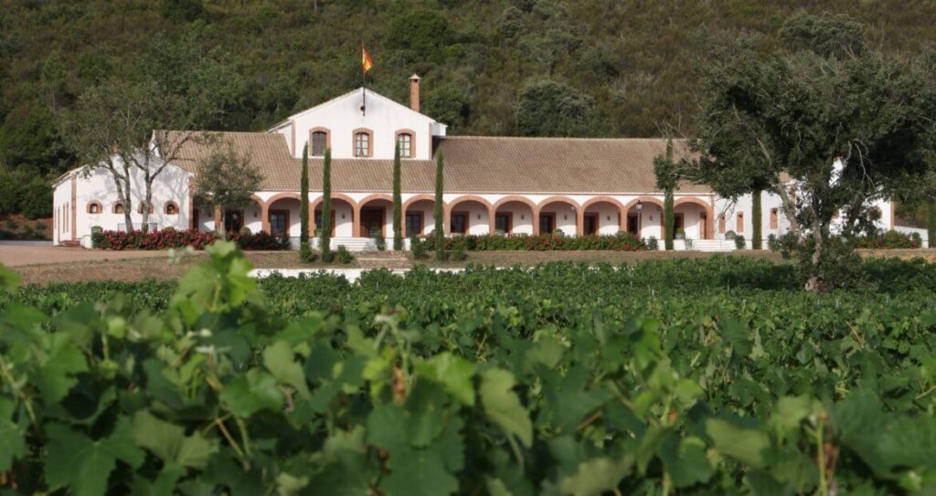 西班牙-卡利薩爾酒莊-Finca-Dehesa-del-Carrizal-Vino-de-Pago
