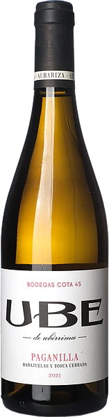 Cota-45-UBE-Paganilla-西班牙-柯塔四五酒莊-UBE-帕加尼雅生物氧化白酒